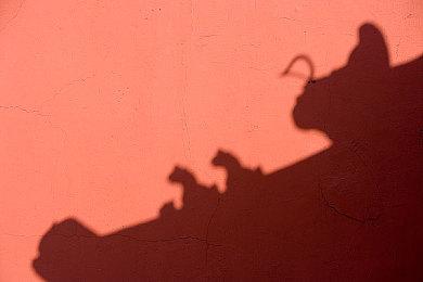 竞速游戏《达喀尔拉力赛》国区涨价 116元升至159元